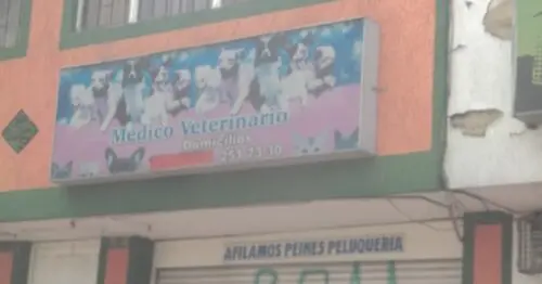 MEDICO VETERINARIO BOGOTÁ MEDICO VETERINARIO BOGOTÁ